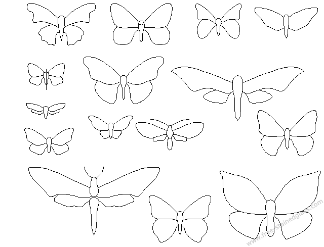 full size butterfly decorative  pattern